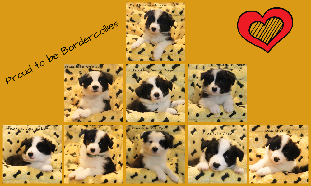 befunky-collage-34-1
