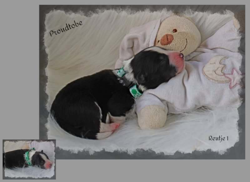 befunky-collage-6-1