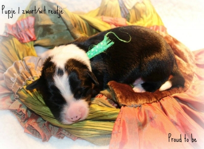 facebook-photo-1