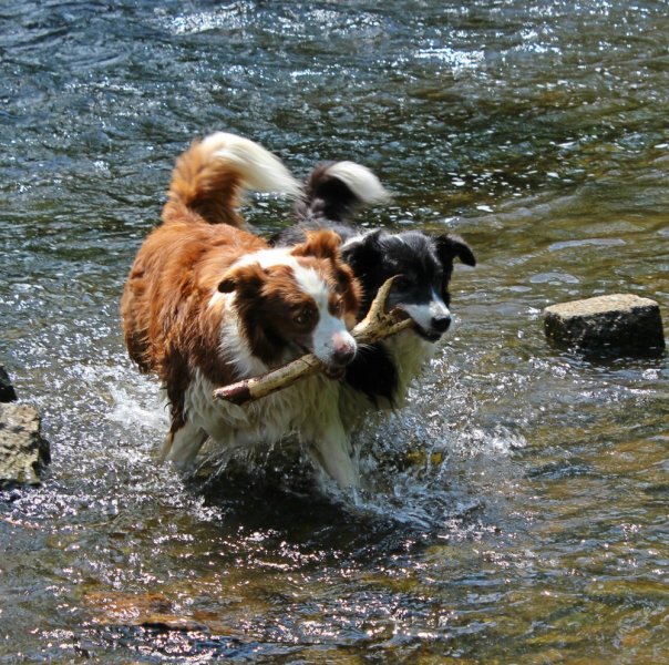 img-8194