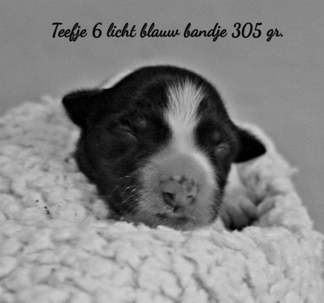 img-8601