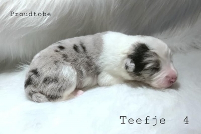 pupiee4