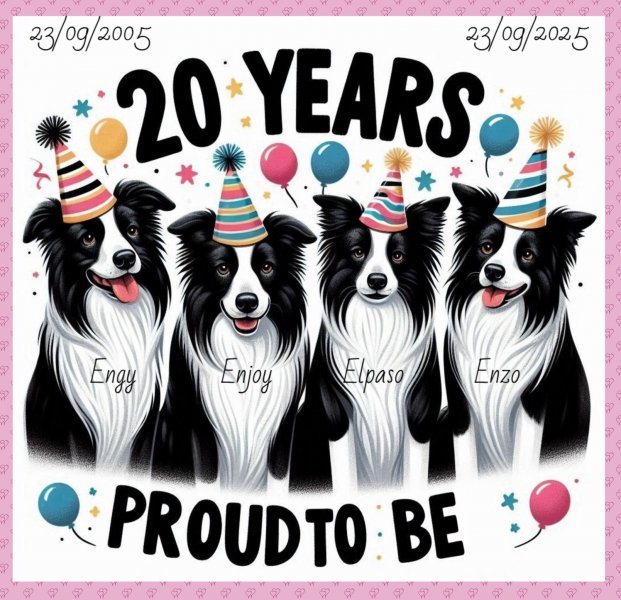 453035505-10231769061760078-1421834923710221344-n