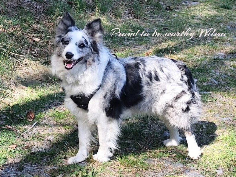 490314829-1808899459953556-3876852693535882958-n-2