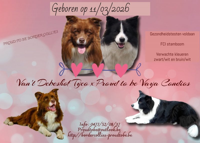 befunky-design-2-2-1