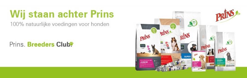 thumbnail-website-header-hond-1000x316px-partner-0